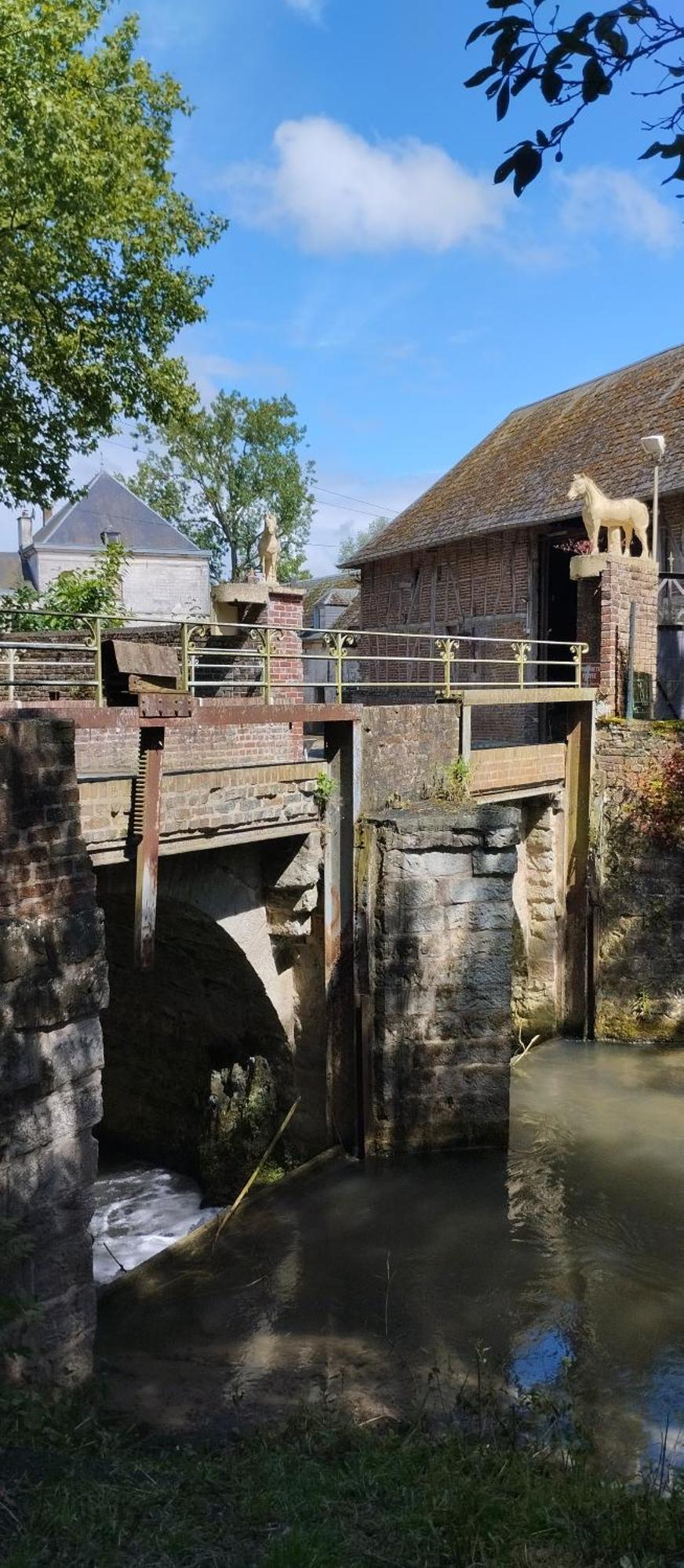 Haras De La Ressee Agnez-les-Duisans المظهر الخارجي الصورة